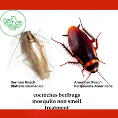 10 Garanteed service pest control and cleaning services