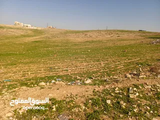  3 أرض البيع منطقة البيضاء تبعد عن جمرك عمان الجديد كيلو ومائة متر تقريبا  مفروزه