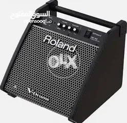 2 Roland PM100 Amp