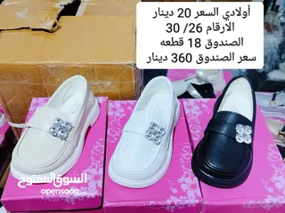  19 البيع بالجمله فقط