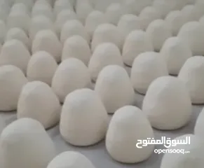  6 منتجاتنا من بيتا بالكرك