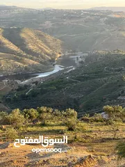  16 من المالك مباشرة ارض للبيع جرش مزرعة المجدل راس دبوس مطله على سد الملك طلال مستويه flat جميع الخدمات