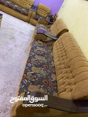  5 قنفات تخم ونص