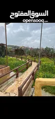  7 مزرعة للبيع في تل الرمان خيل وليل