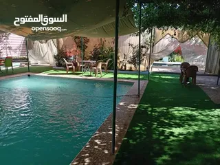  10 منتجع ومسابح ام ليمونه /عجلون / كفرنجة