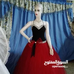  24 بيع بدل خطبه وعرايس وسواري