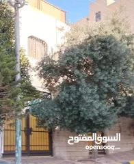  4 بيت مستقل طابقين أول طلوع عدن