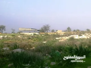  1 1000 متر مربع في اكتابا للبيع