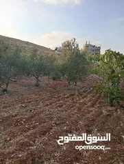  7 اعلان عن ارض