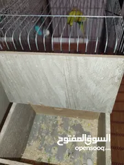  6 بادجي شغال للبيع  شوف الوصف