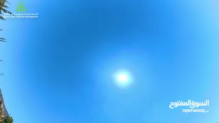  7 أرض سكنية مزروعة زيتون في السلط / الصبيحي / سيحان / 1200 متر