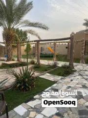  2 مزرعة جميله عائليه هادئه تصلح للحفلات للإيجار اليومي في رأس الخيمة