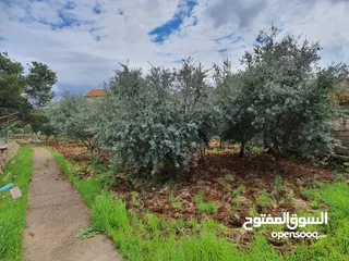  13 عمارة تجارية و سكنية  في جرش للبيع العمارة على شارعين    شارع رئيسي و شارع فرعي في منطقة حيوية