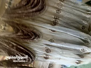  2 مجموعة برادي