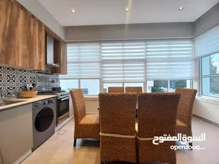  7 Furnished Apartment For Rent In 4th Circle  ( Property 36436 )-174804994