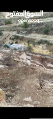  3 أرض للبيع في الخليل دورا