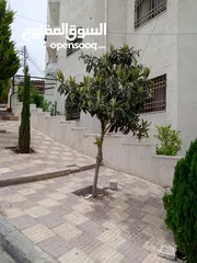  14 شقة مفروشة  ارضي بالياسمين للايجار الاسبوعي او اليومي  2 furnished bed rooms apartment for rent