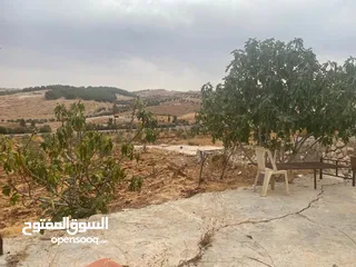  16 قفقفا 13 دنم منطقة مزارع وشاليهات وطبيعة خلابة مسيجة جدار حجر