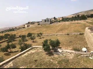  2 مزرعه للبيع في السلط مساحة الأرض 4218م مساحة البناء 450م
