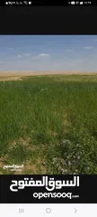  1 ارض للبيع في منطقه البيره السلاميه  مساحه 450متر السعر 170الف دولار