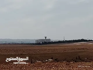  4 قطعة ارض للبيع مساحتها 5دونمات مفروزه قوشان مستقل خلف مستشفى الملك عبدالله وجامعة العلوم والتكنولوجا