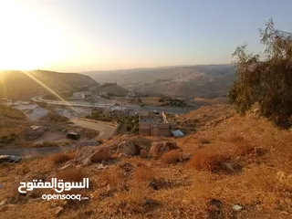  5 اراضي ناعور للبيع