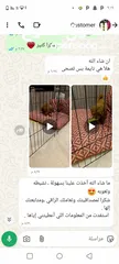  8 جراء بودل مستويات عالية جدا جدا جدا اهالي استيراد خارجي مستويات خرافية تسليم في أي عياده بيطرية