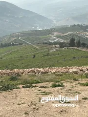  5 ارض للبيع في جرش مشروع عنيبه 17قطعة 3500متر بقوشان مستقل واصل الخدمات كامله اطلاله بنوراما مميزه جدا