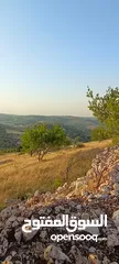  26 مزرعه  صغريه راقيه على قمه جبل مطله للغرب كوشان مستقل بسعر مميز جدا منطقه مزراع راقيه