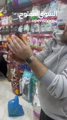  19 ببغاء اللوري رومانسي ولعوب راقص متكلم
