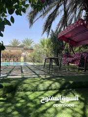  11 مزارع وشاليهات للايجار اليومي