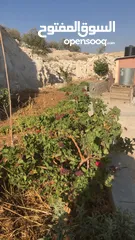  3 أرض بسعر مغري