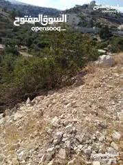  3 ارض بناء للبيع في صوريف / البستان