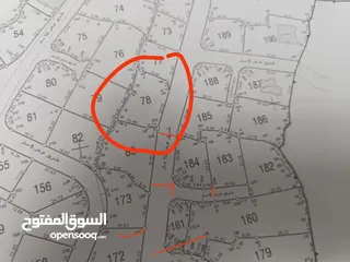  1 ارض للبيع طريق الجسر