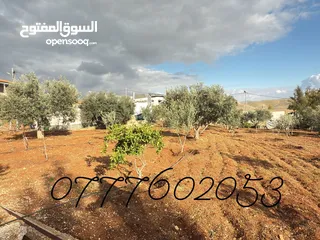  16 مزرعة لقطة مميزة مع بيت طابقين مطلة ومرتفعة
