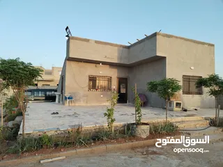  17 مزرعه شالية في منطقه سويمة قرب بحر الميت