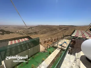  25 شيليه و مزرعة  للبيع او للايجار