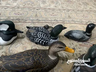  5 تحف لطيور كندية - مجموعة 20 قطعة - تم شراءها من كندا
