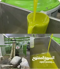  2 زيت زيتون بعل