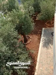  7 منزل شبه فيلا للايجار يصلح لعمل حضانه او روضه او مركز تحفيظ قرآن او شركه والعديد من الأعمال التجاريه