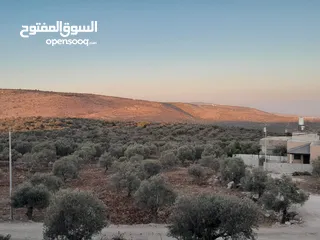  1 ارض البيع موقع ممتاز