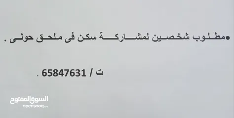  2 سكن بحوالى بجوار الشؤن بجوار محطة الباص بجانب كشرى أبو طارق متاح لشخصين سعر الفرد 30دينار