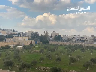  1 شقق سكنية للبيع