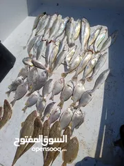  1 رحلات بحريه حدق وناسه العب مياه دونات موزه دونه جزيرة كبر جزيرة فيلكا مسجل ليف شكت