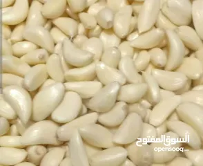  7 ثوم مقشر نخب اول بلدي