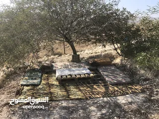  7 أرض بسعر مغري