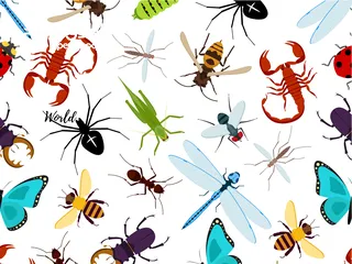  6 أفضل شركة مكافحة حشرات في مصر