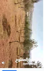  2 ارض للبيع في موبص