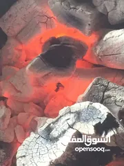  6 فحم طبيعي - نخب أول