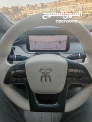  19 BYD SONG L        2023